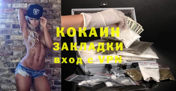 индика Армянск