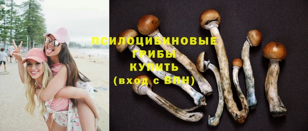 spice Аркадак