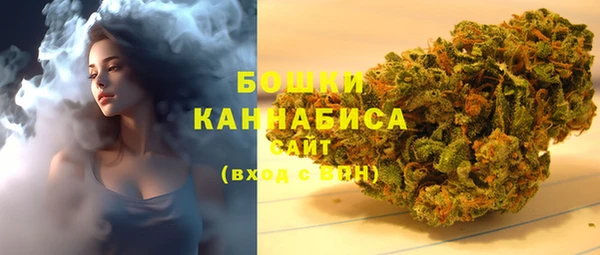 индика Армянск